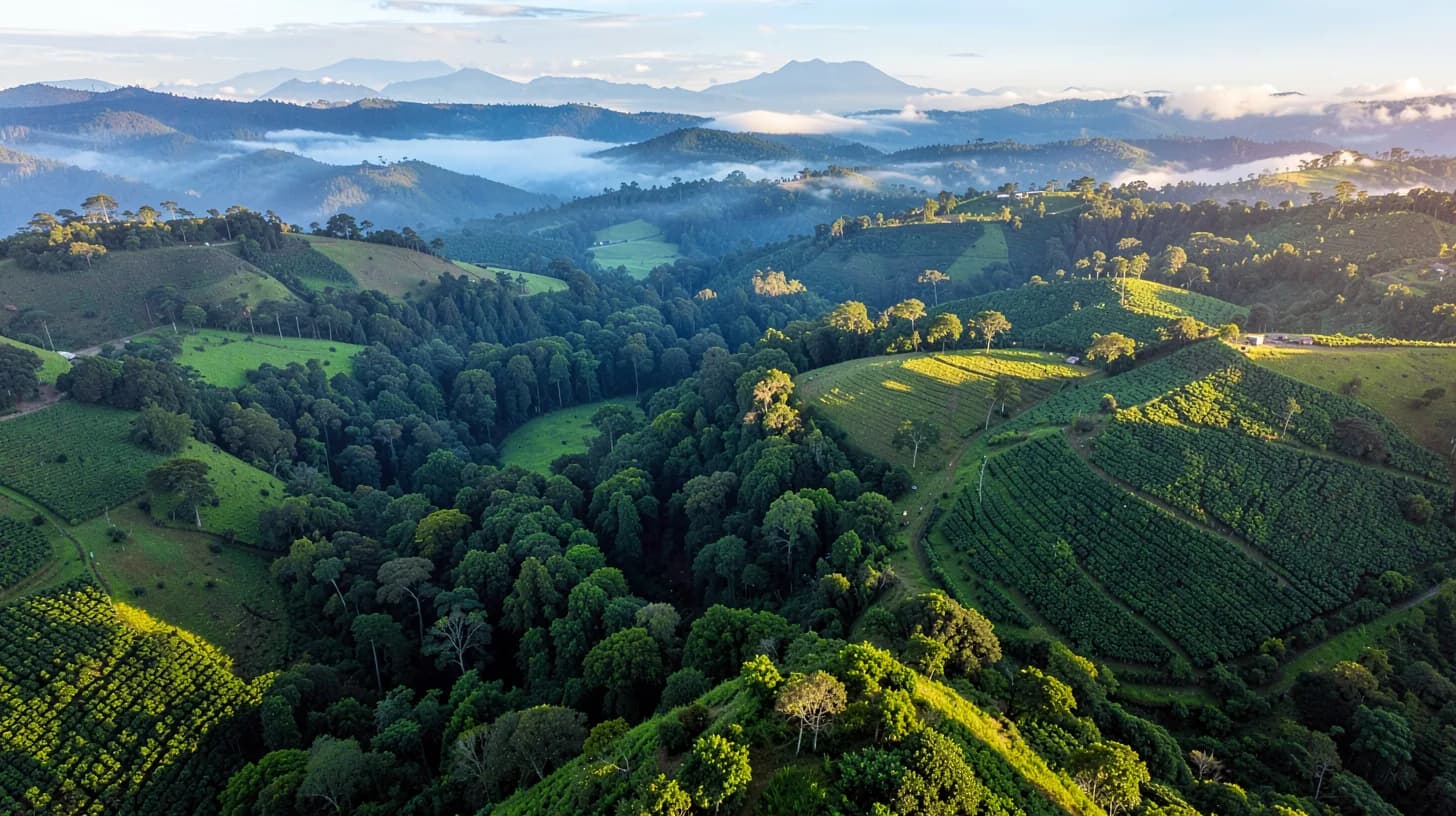 Aerial view of a green valley in Huila where a ribbon of forest threads between pastures and coffee plots, under low golden morning light