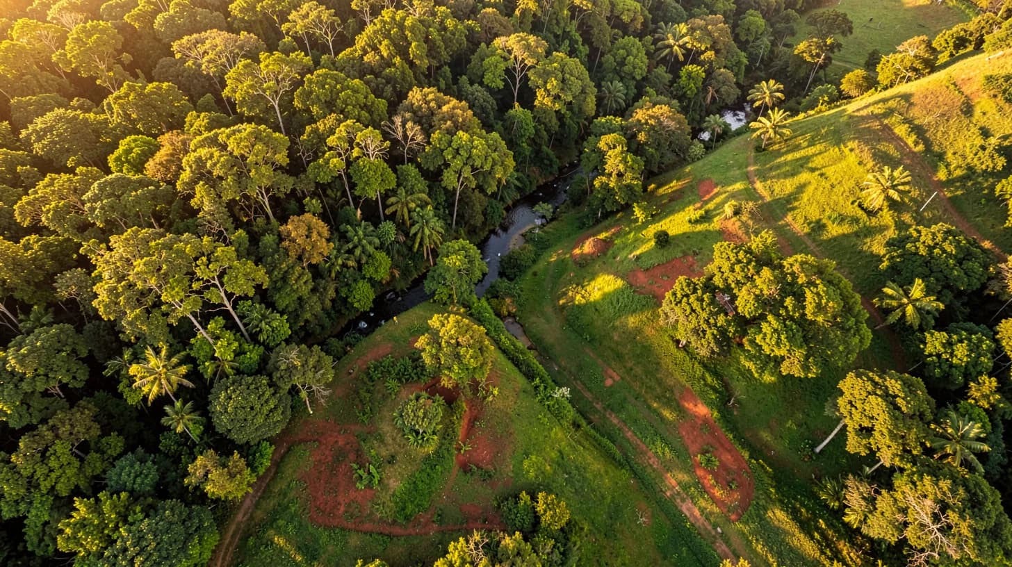 Aerial view at low golden sun of a green hillside estate in Huila, a stream threading through tropical canopy with patches of red earth.